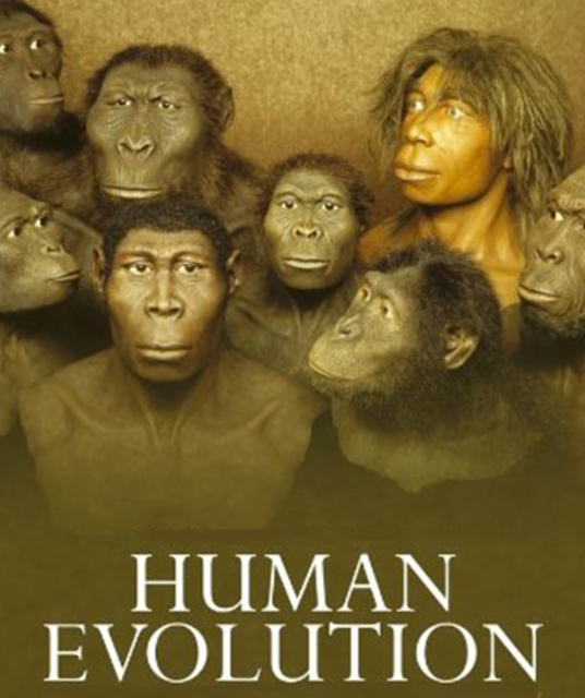 avatar human evolution
