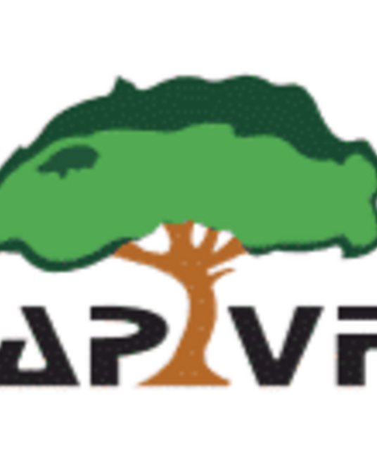avatar APVF La Floresta